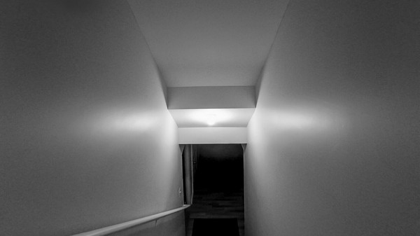 Скриншот из Wardwell House