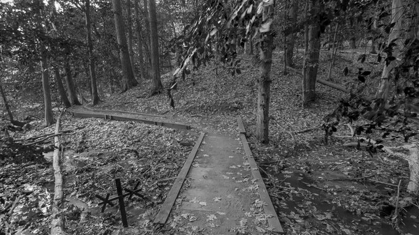 Скриншот из Wardwell House