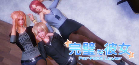 Boxart for PerfectLover