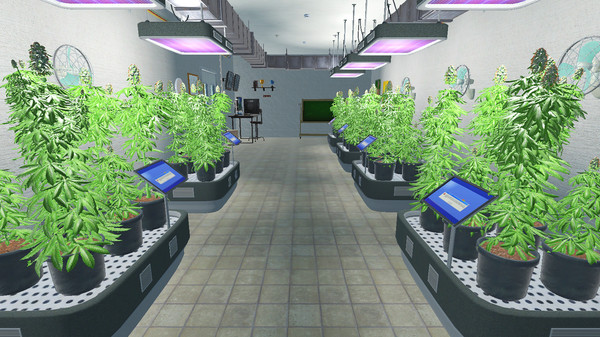 Weed Shop 3 game for Linux 1