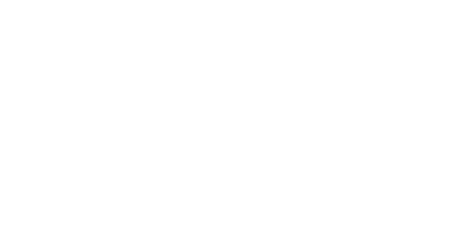 Castle Commander Logo