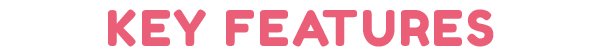 SNM_keyfeatures.png