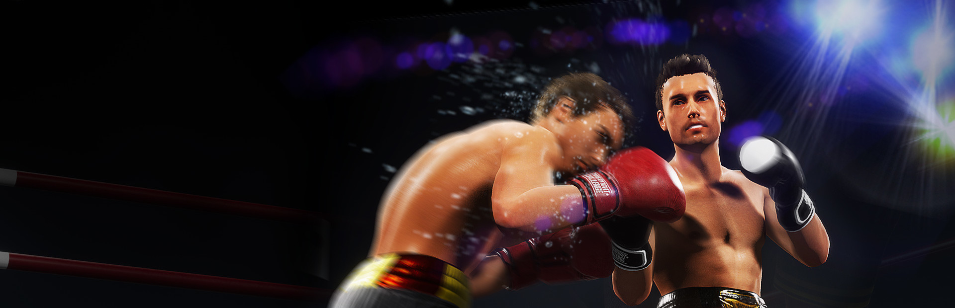 Cyber Fight Challenge