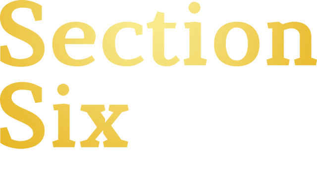 Section Six Logo