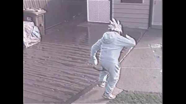 Скриншот из Sanic The Hawtdawg: Da Movie: Da Game 2.1: Electric Boogaloo 2.2 Version 4: The Squeakquel: VHS Edition: Directors cut: Special edition: The Musical & Knackles