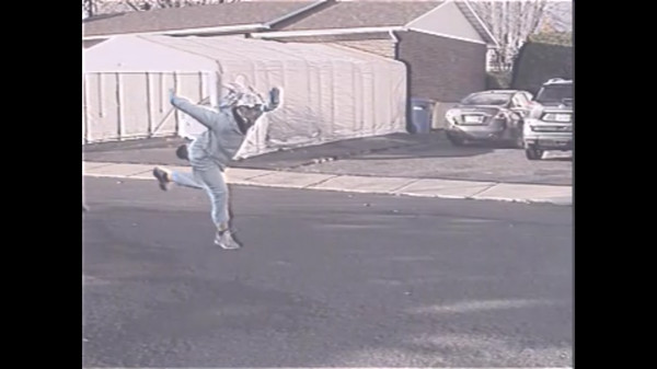 Скриншот из Sanic The Hawtdawg: Da Movie: Da Game 2.1: Electric Boogaloo 2.2 Version 4: The Squeakquel: VHS Edition: Directors cut: Special edition: The Musical & Knackles