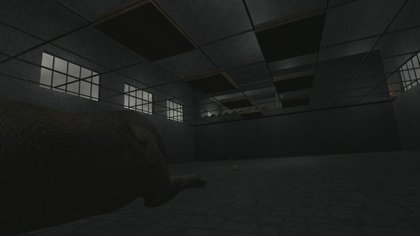 Puzzle Towerfor windows and Linux 1