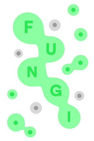 FUNGI FUNGI