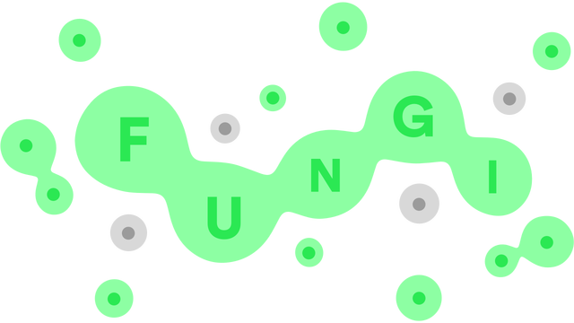 FUNGI Logo