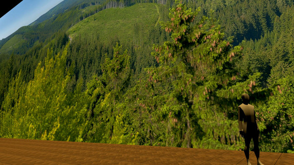 VR Gigapixel Gallery game for Linux 1