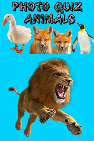Photo Quiz - Animals poster image on Steam Backlog