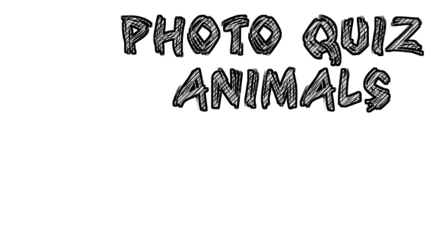Photo Quiz - Animals Logo