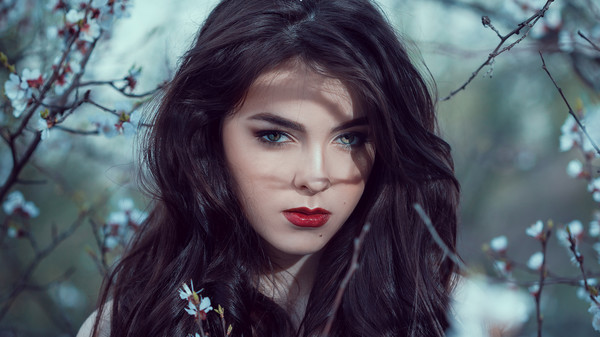 Photos game for windows Pc 1