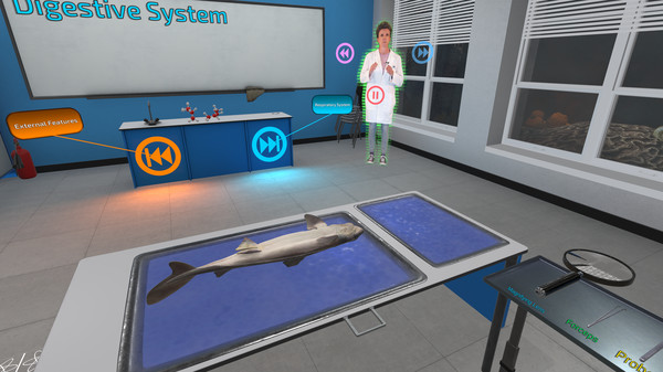 Скриншот из Dissection Simulator: Dogfish Edition
