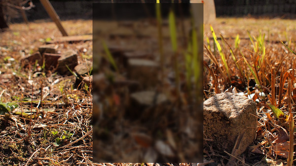 Lucid Aetherfor windows and Linux 1