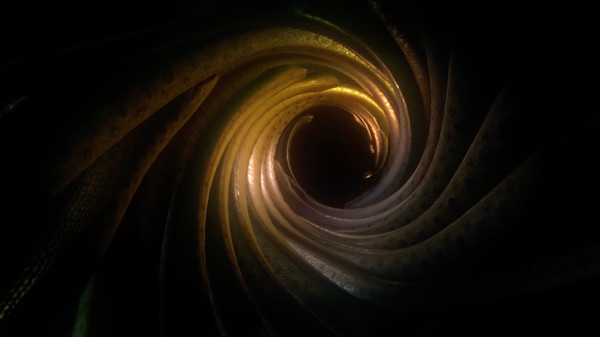 Ayahuasca game for Linux 1