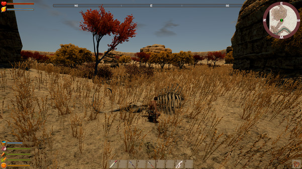 Скриншот из Into The Valley