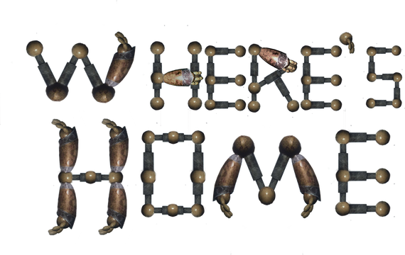 Where's Home? Logo
