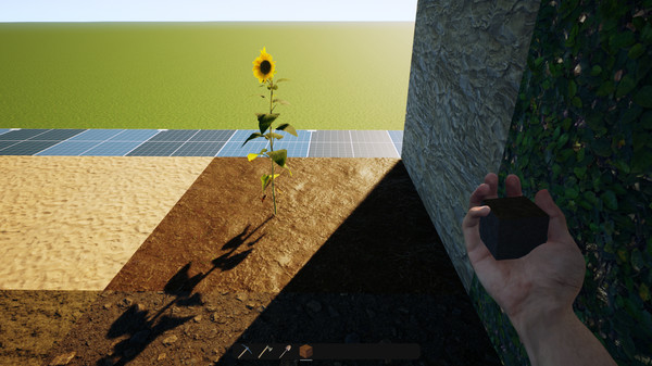 DREAMLIVE game for Linux 1