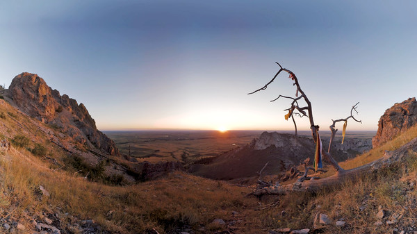 LUX SINEfor windows and Linux 1