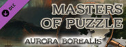 Masters of Puzzle - Aurora Borealis by F. E. Church