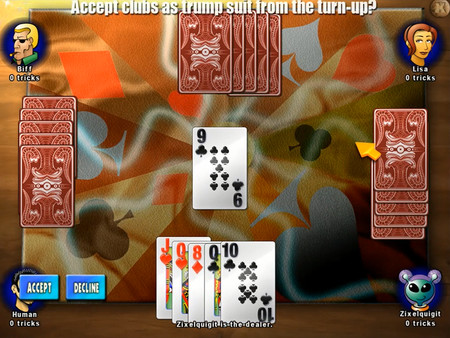 Скриншот из Classic Card Game Euchre