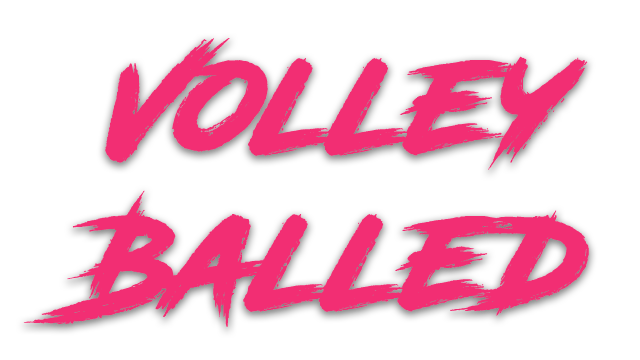 Volleyballed Logo