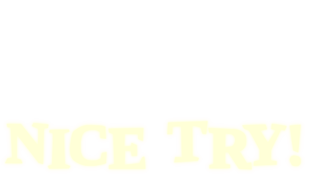 Nice Try! Logo