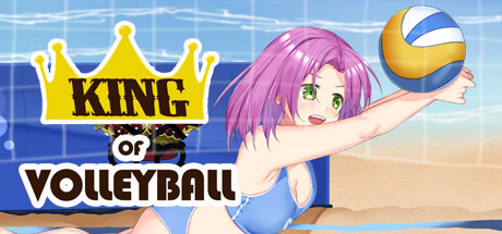 King of Volleyball cover art
