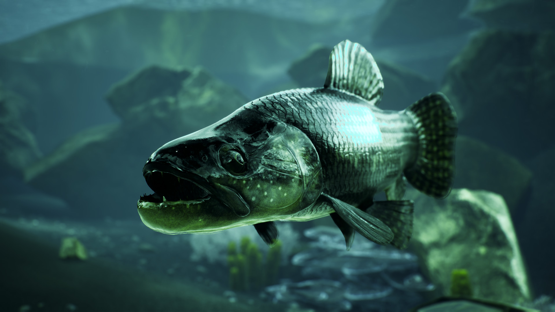 The Catch Carp & Coarse on Steam