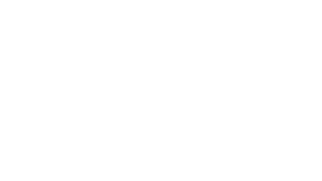 Mists of Aiden Logo