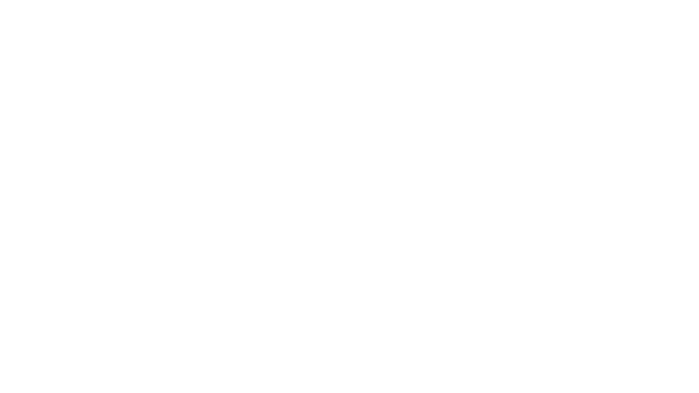 FierceWind Decay Logo