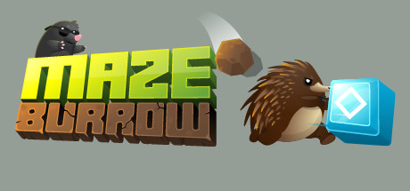 Maze Burrow cover art
