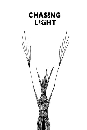 Chasing Light poster image on Steam Backlog