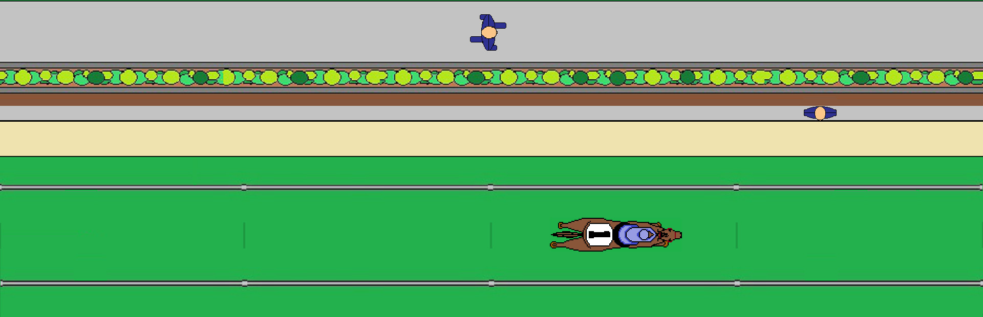 Quarter Horse Racing