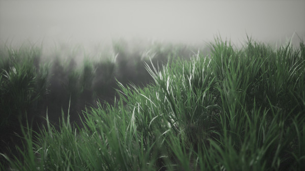 Mýrdalssandur, Iceland game for Linux 1