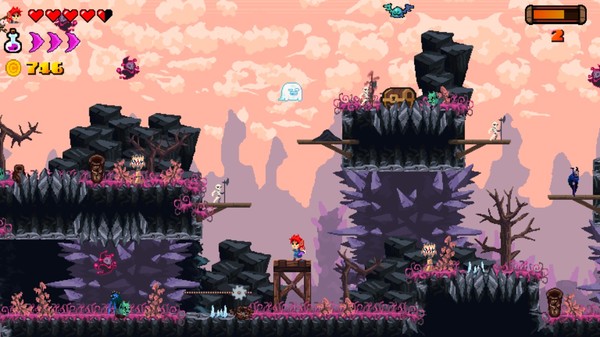 The Curse of Zigorisfor windows and Linux 1