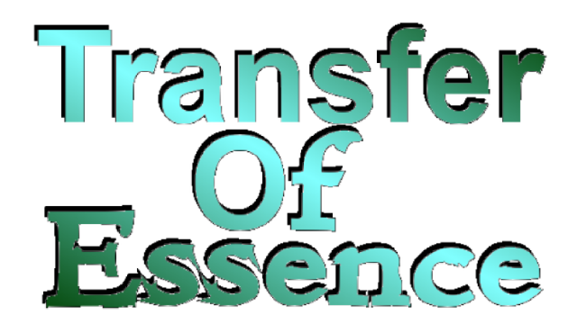 Transfer Of Essence Logo