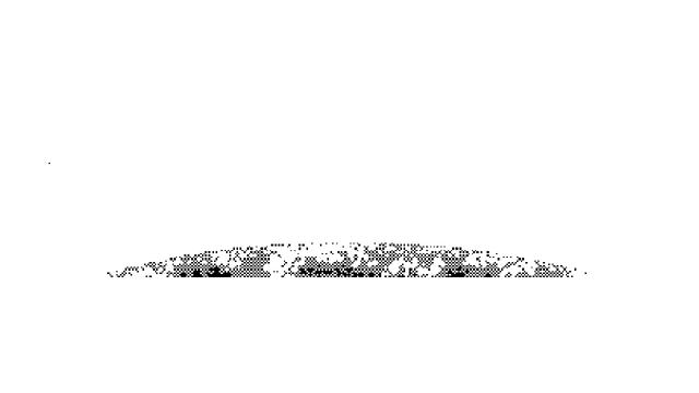 Stella Pastoris Logo