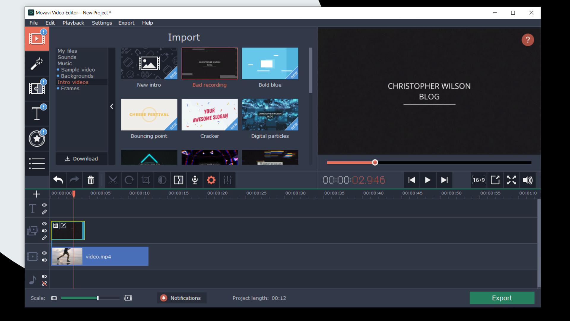 movavi video editor.