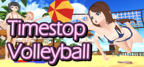 Timestop Volleyball cover art