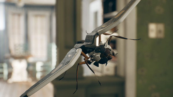 Domin'Ant game for Linux 1