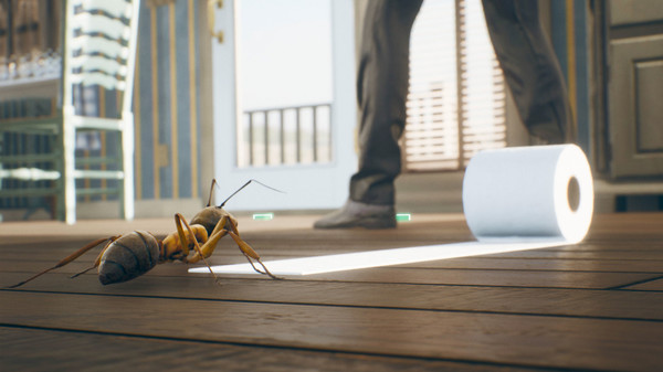 Domin'Antfor windows and Linux 1