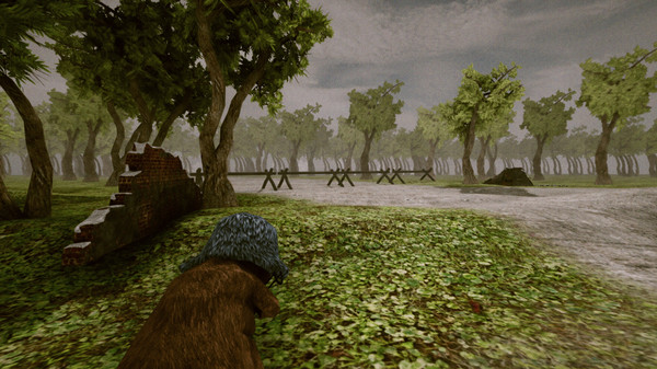 BEAR, VODKA, FALL OF BERLIN! 🐻for windows and Linux 1