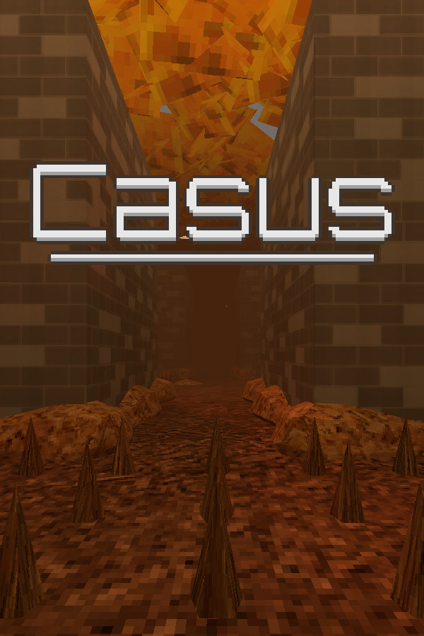 Casus for steam