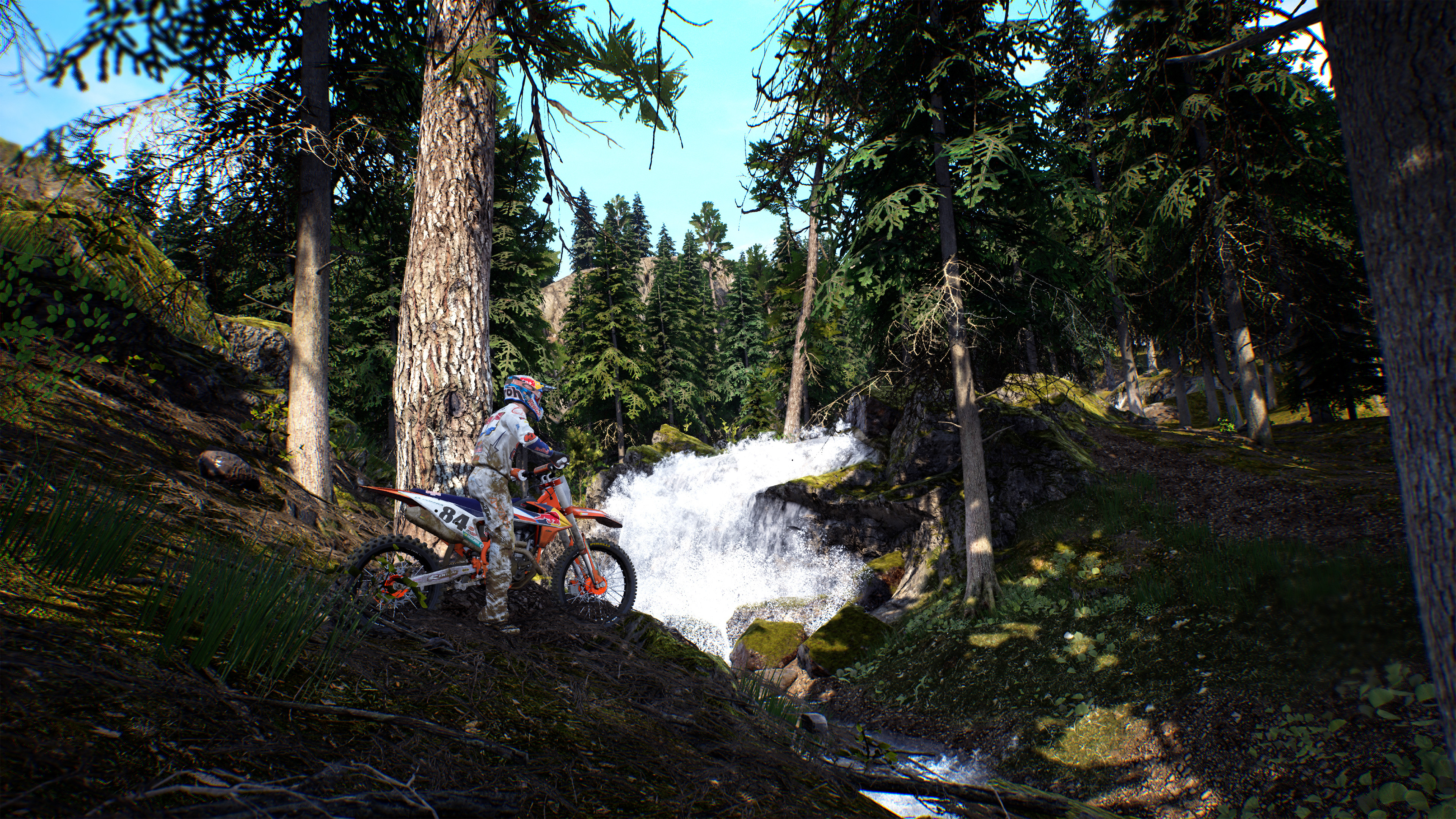 INGAME IMAGE