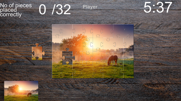 Скриншот из Crazy Puzzle