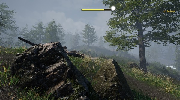 Скриншот из Naturalist Stories