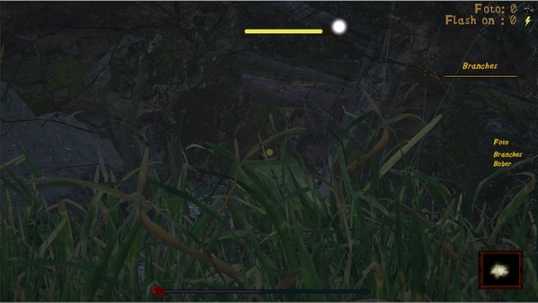 Скриншот из Naturalist Stories