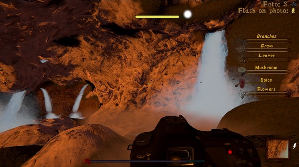 Скриншот из Naturalist Stories